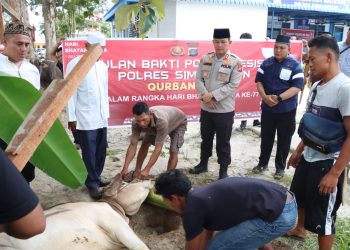 Gelar Qurban Presisi Polres Simalungun Sembelih 14 Hewan Kurban, Kapolres : Perkuat Persaudaraan Dan Semangat Berbagi