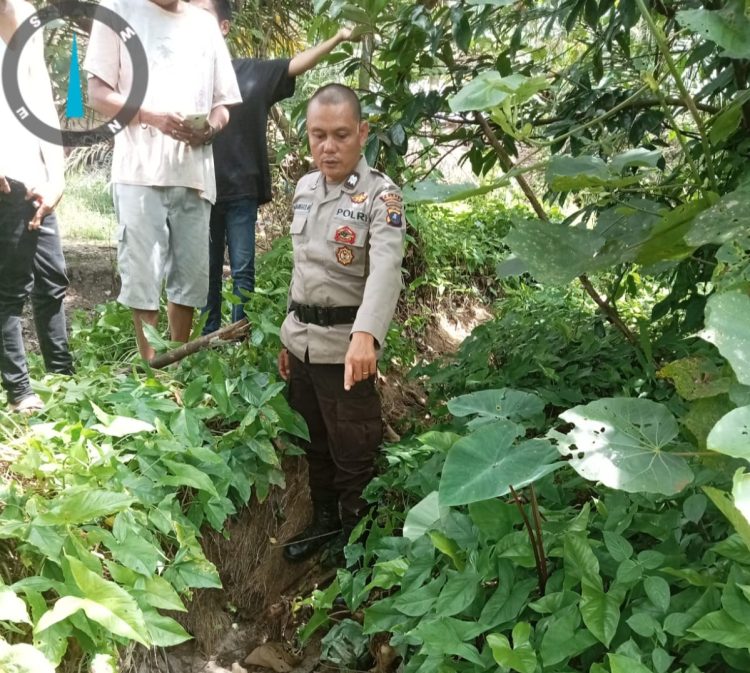 Balita Yang Dilaporkan Hilang di Simalungun Ditemukan Meninggal Dunia di Aliran Parit Irigasi Persawahan